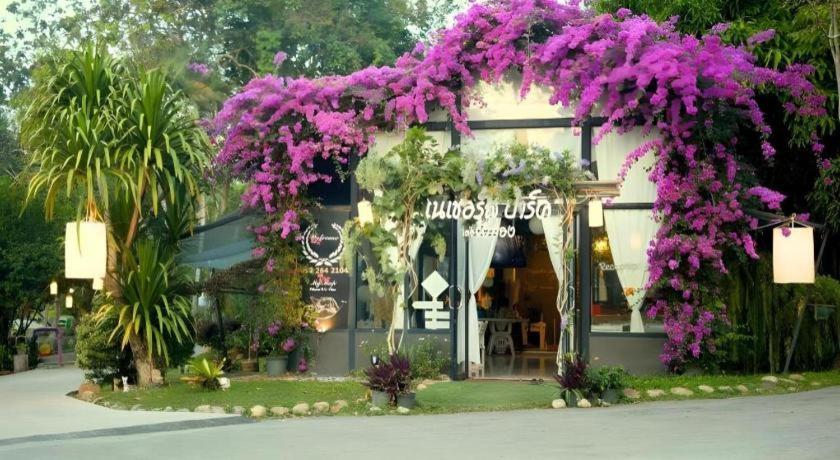 Natural Park Resort De Wang Thong Phitsanulok Bagian luar foto